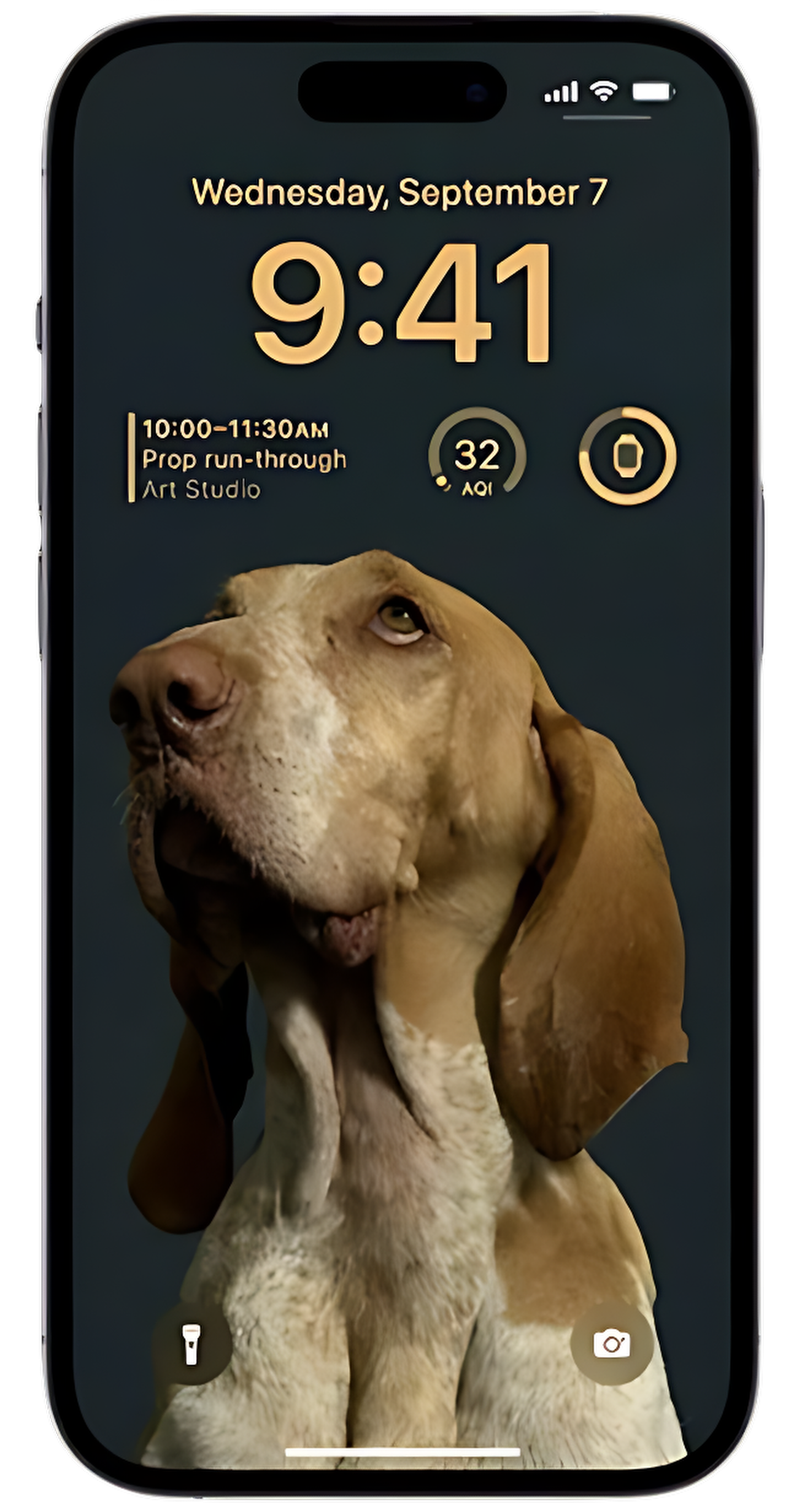 iphone-mockup